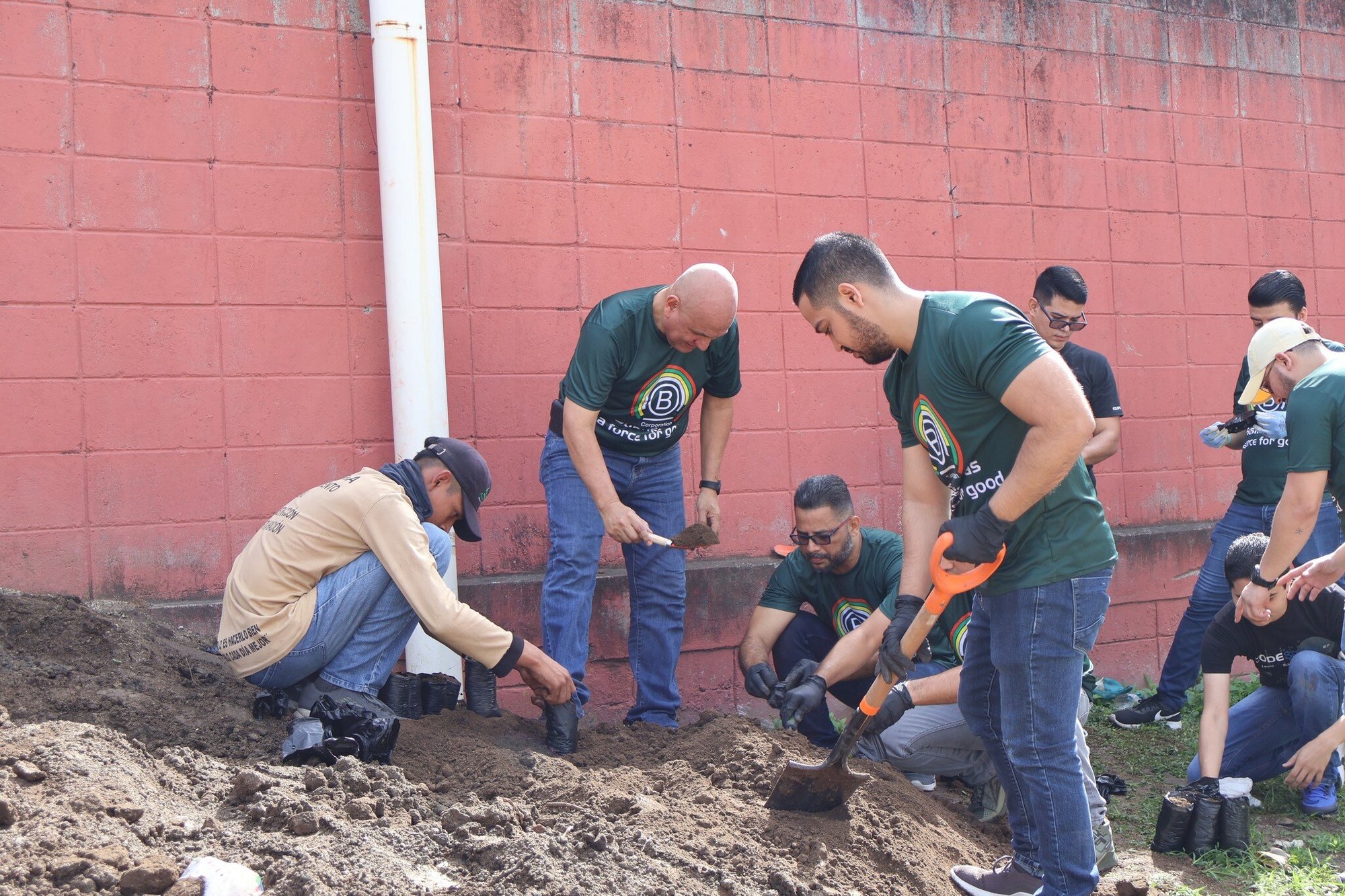 team working on planting seeds