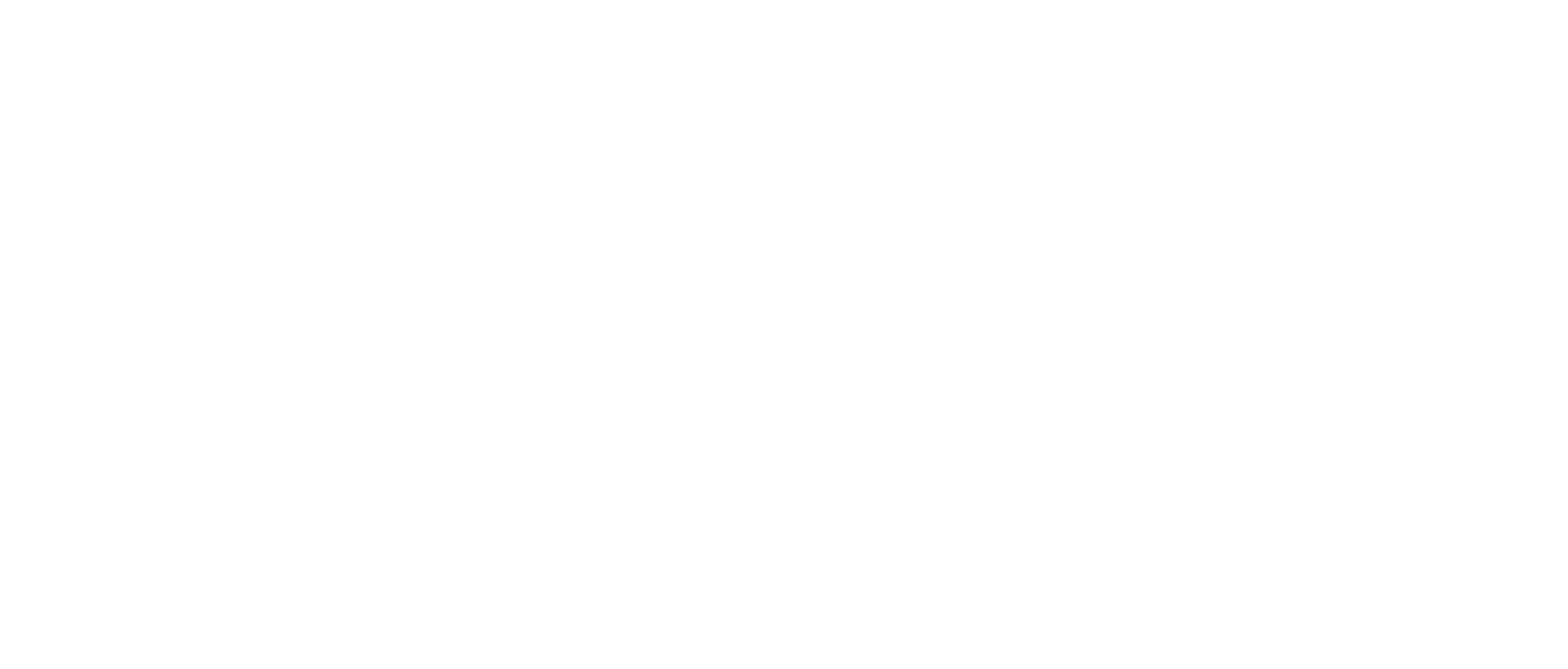 code-exitos-logo-white